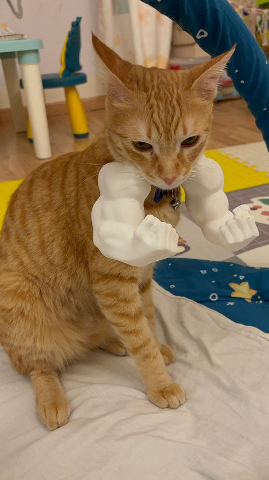 Meowscles