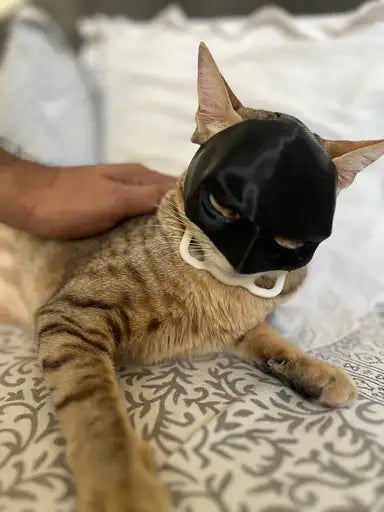 Batman Mask
